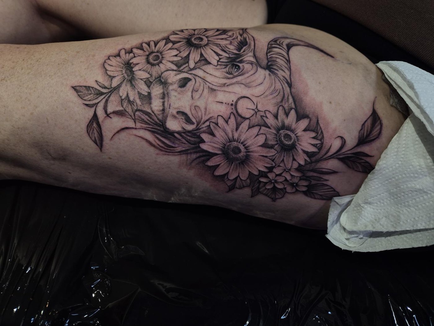 Cow and daisies