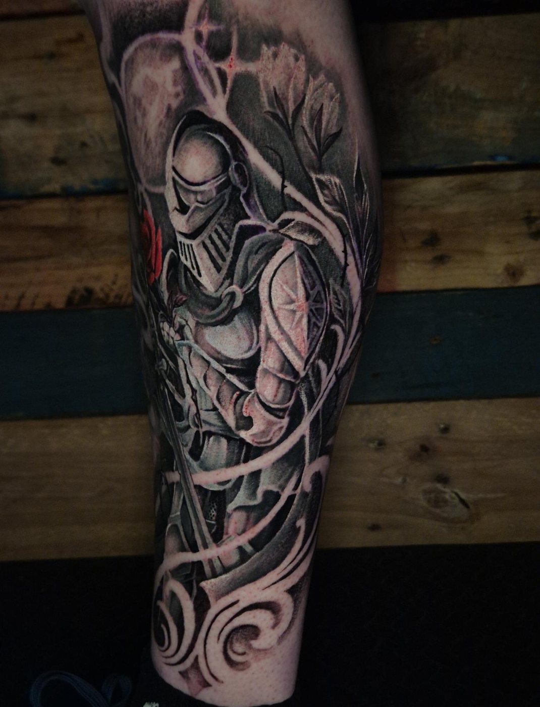 Knight and shield
