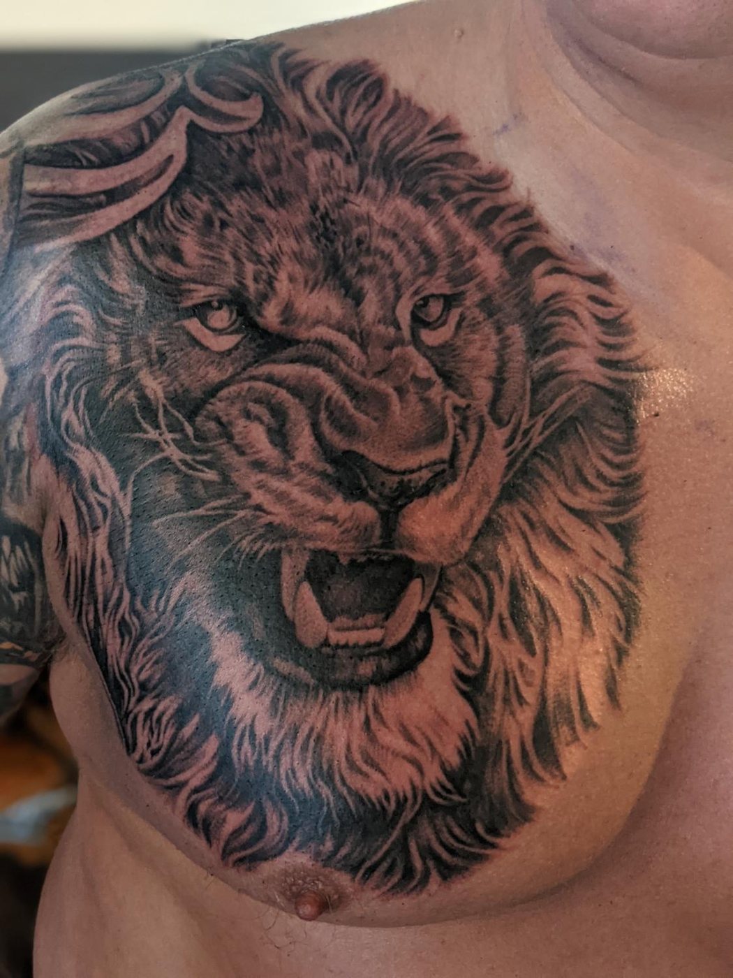 Lion chest piece