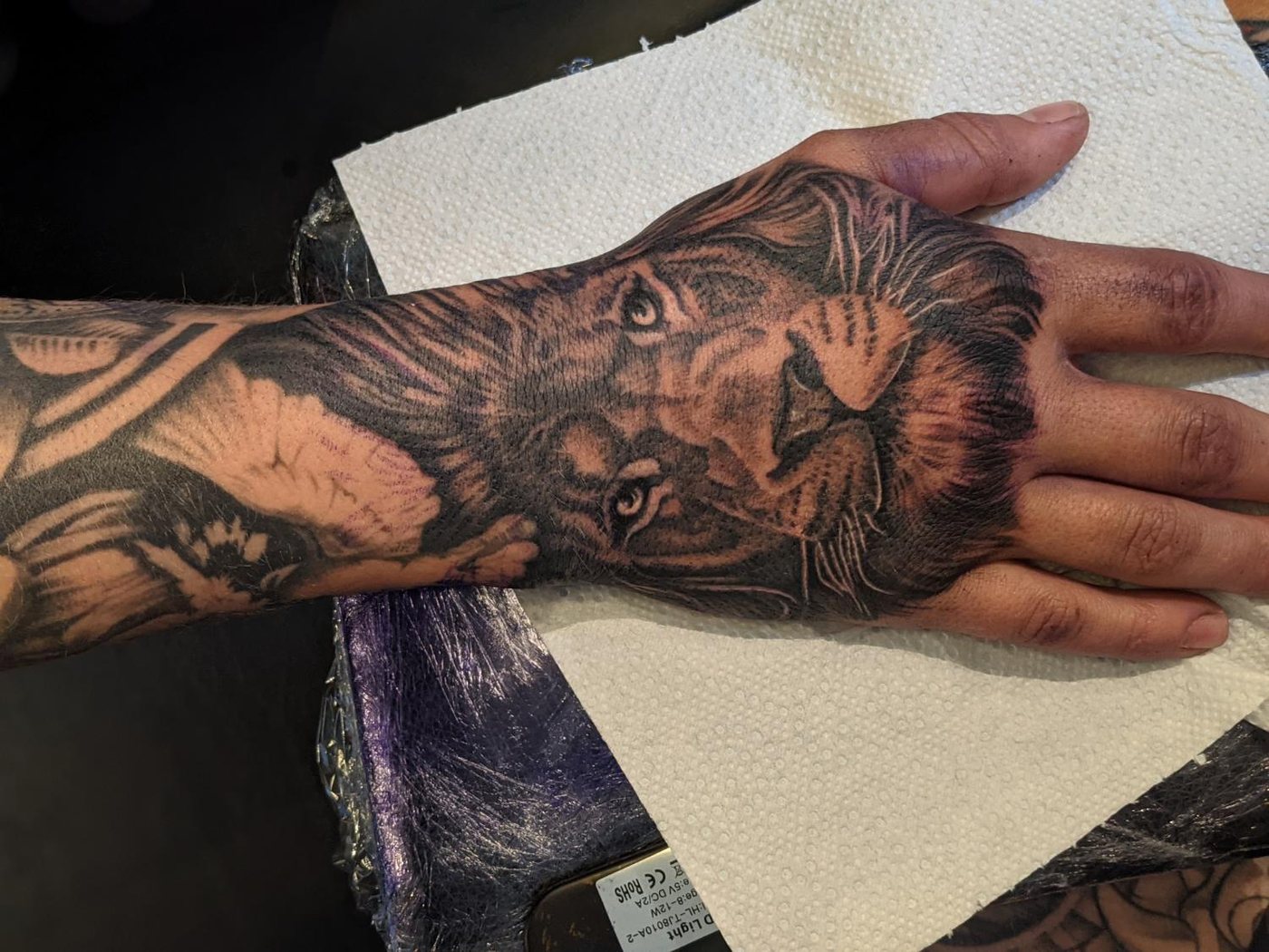Lions on hand