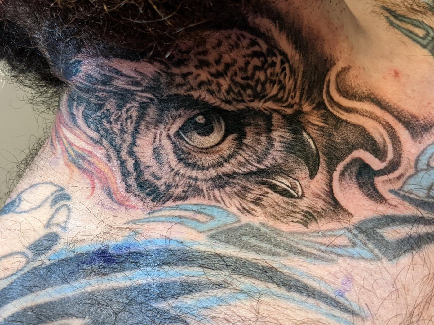 Owl