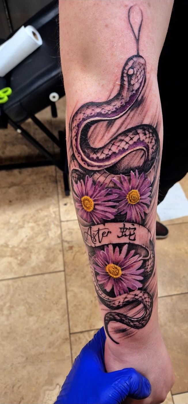 Snake and asters