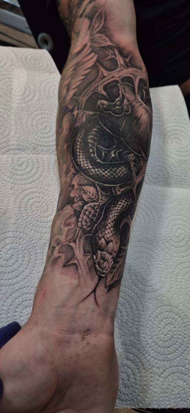 Black snake
