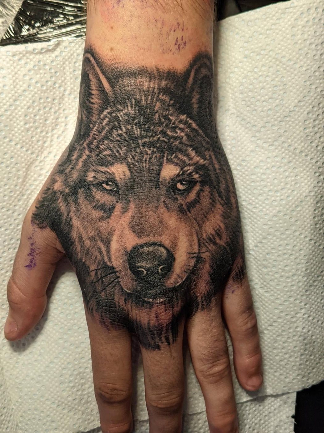 Wolf on hand